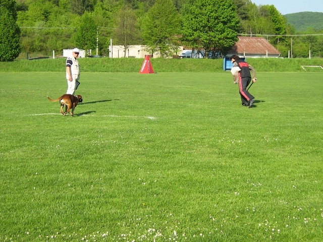 www.atibox.net * www.euroboxer.eu * www.boxergenealogia.eu